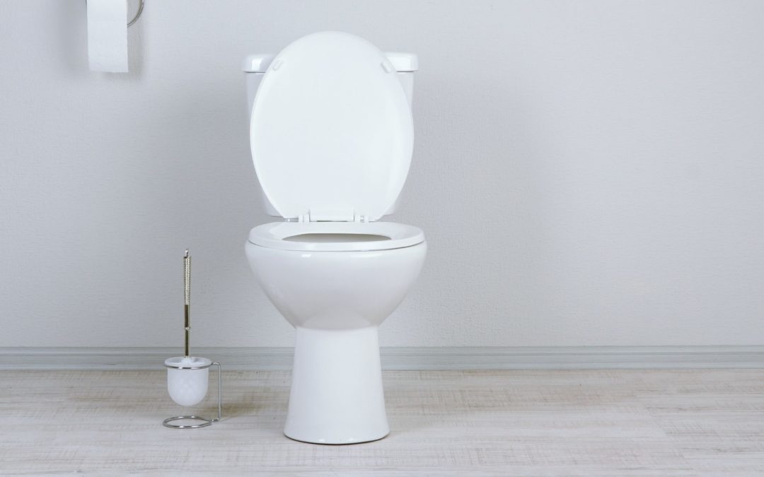 Don’t Wait for a Potty Disaster: Here’s When to Call for Toilet Repair Las Vegas