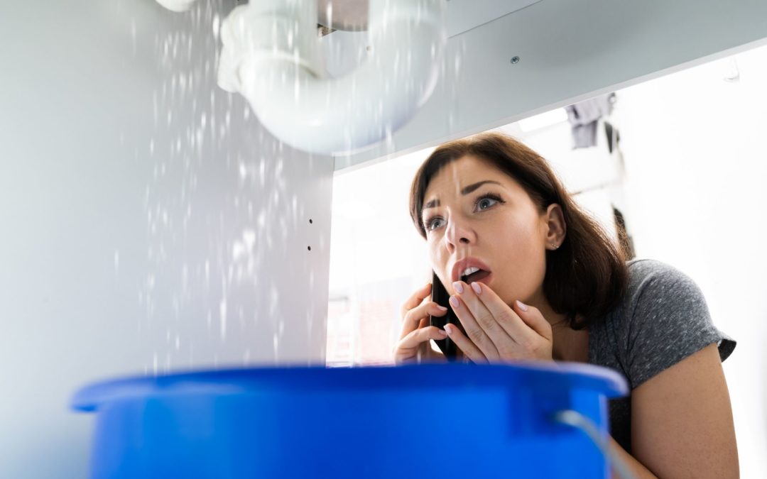 5 Signs You Have a Plumbing Emergency on Your Hands